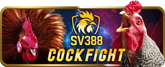 Hỗ trợ đa kênh của xo68 casino